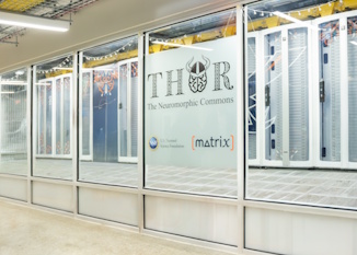 The THOR Neuromorphic Commons Large-Scale Computing Infrastructure