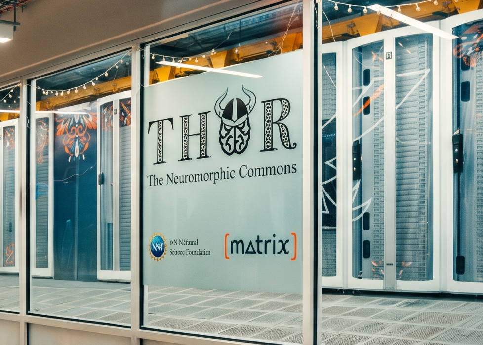 The THOR Neuromorphic Commons Large-Scale Computing Infrastructure